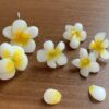 美しく着色したUVレジンアクセサリー